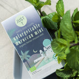 Unforgettable Moroccan Mint